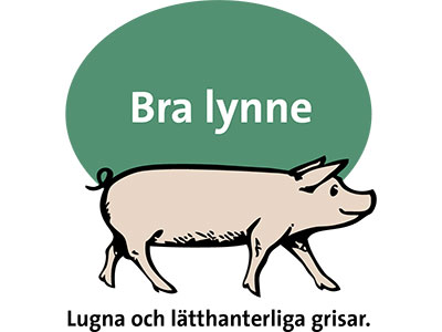 Bra lynne